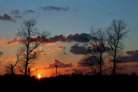 Trees at sunset Foto stock