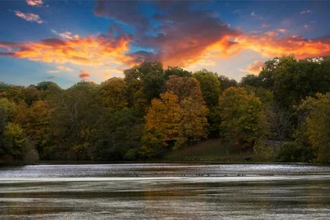 Trees at Sunset Stock-Fotos