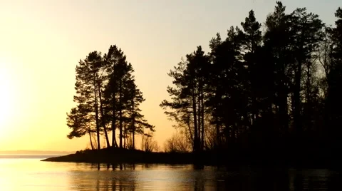 Trees at sunset, surrounded by water Stock Footage 59976322