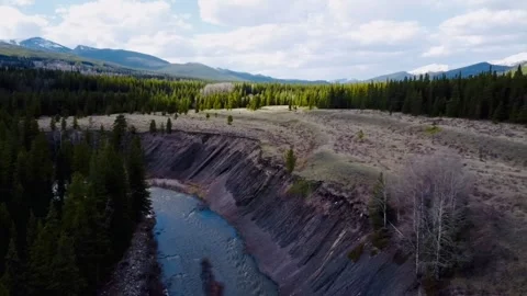 Trees surrounded by a vast mountain range Stock Footage 277266159