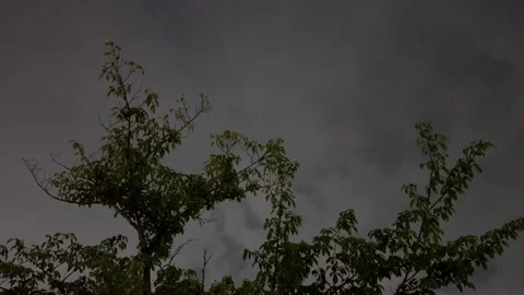 Trees sway under a stormy sky as rolling thunder echoes in the Tokyo Stock Footage 281922646