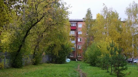 Trees sway in the wind in the city during the day in the autumn Stock Footage 95765740