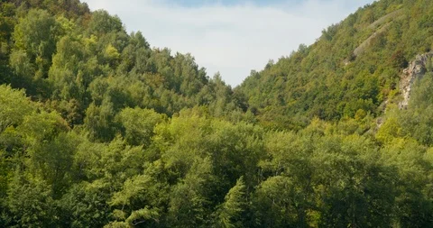 Trees sway in the wind on the side of the mountains. Stock Footage 127026708