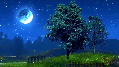 Trees swaying under the moonlight Stock Footage 253513906