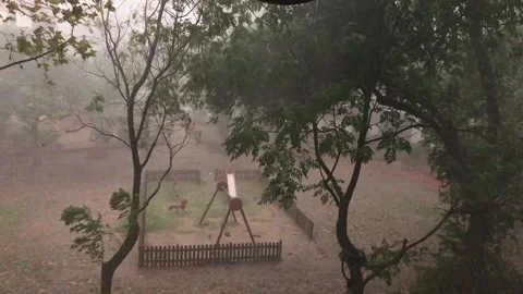 Trees Swaying Violently During Powerful Downburst Storm Видео 334621431