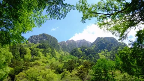 Trees swaying in the wind and the mountains with fresh greenery, Kamikochi .. Video stock 329279482