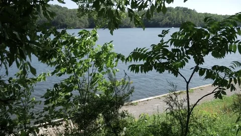 Trees swaying in the wind in front of a river 库存影片 75387709