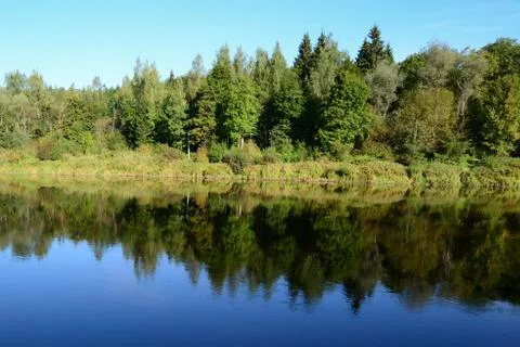 Trees symmetric reflection in a river Stock Photos