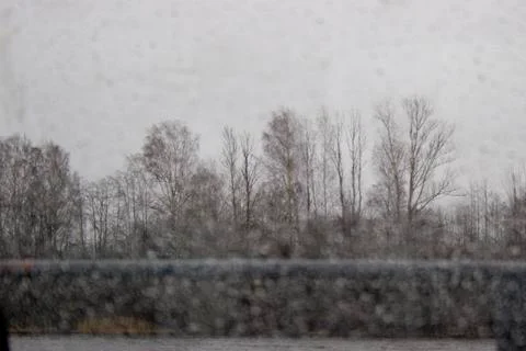 Trees through a wet window in the rain Stock Photos