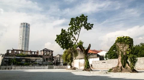 Trees Timelapse with Komtar Tower in the Background Stock Footage 49304281