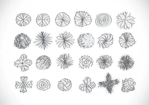 Trees top view for architecture landscape design projects イラスト素材
