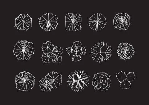 Trees top view for architecture landscape design projects イラスト素材