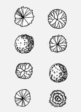 Trees top view for architecture landscape design projects イラスト素材