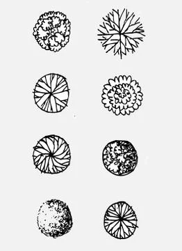 Trees top view for architecture landscape design projects イラスト素材