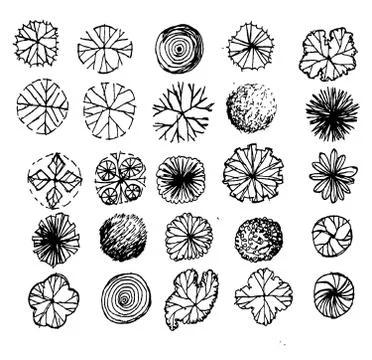 Trees top view for architecture landscape design projects イラスト素材