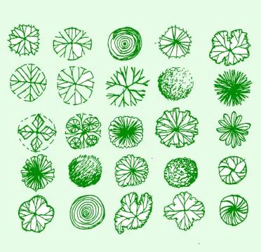 Trees top view for architecture landscape design projects イラスト素材