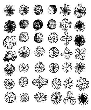 Trees top view for architecture landscape design projects イラスト素材