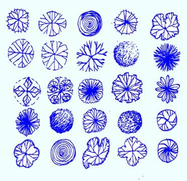 Trees top view for architecture landscape design projects イラスト素材