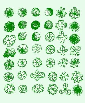 Trees top view for architecture landscape design projects イラスト素材