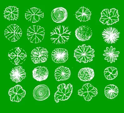 Trees top view for architecture landscape design projects イラスト素材