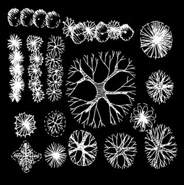 Trees top view for architecture landscape design projects イラスト素材