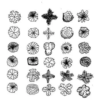 Trees top view for architecture landscape design projects イラスト素材