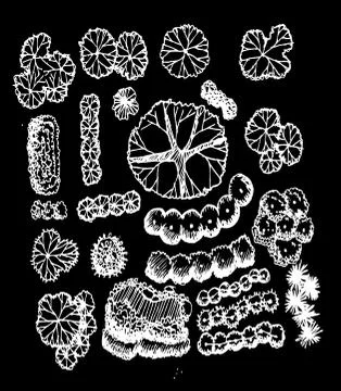Trees top view for architecture landscape design projects イラスト素材