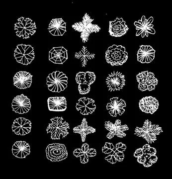 Trees top view for architecture landscape design projects イラスト素材