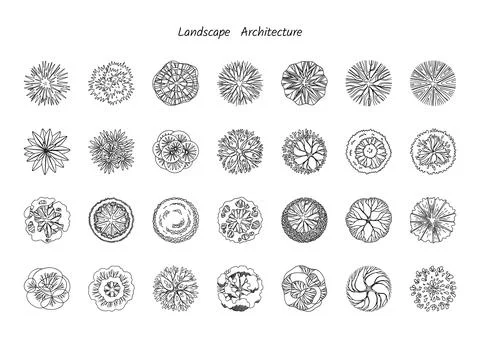 Trees top view for architecture landscape design projects Stock Illustration