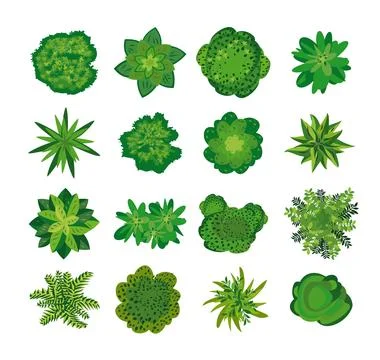 Trees - top view. Stock Illustration