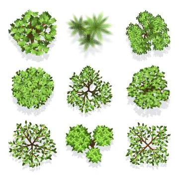 Trees top view vector set for landscape design and map Illustrazione stock