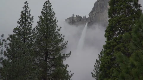 Trees tower infront of the Yosemite Falls Stock Footage 62626597