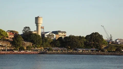Trees with tower on time-lapse Stock-Footage 85198596
