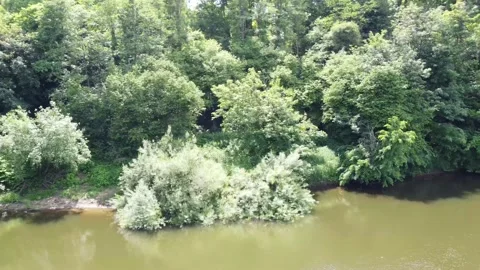 Trees Track over River Stock Footage 195956952