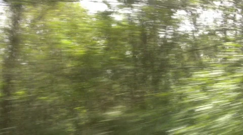 Trees tracking Stock Footage 850227