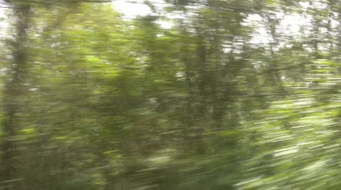 Trees tracking Stock Footage 850553