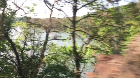 Trees from train view Amtrak Stock Footage 234646098