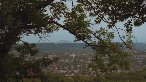 Trees, trees in summer, nature, summer nature Stock Footage 288632084