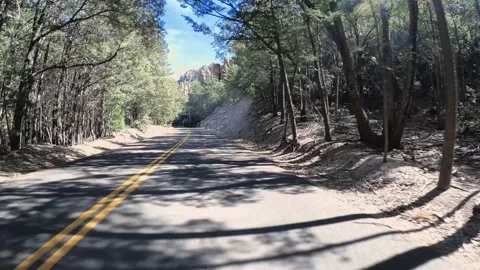 Trees Tunnel Stock Footage 150139115