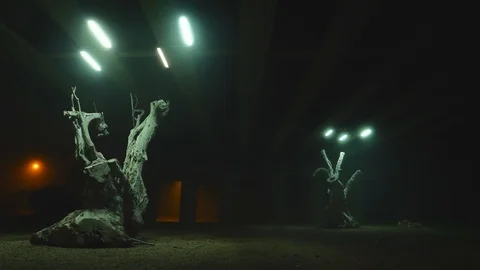 Trees under a bridge Stock Footage 106945574