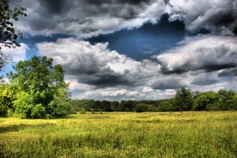 Trees under a cloudy sky Stock Photos