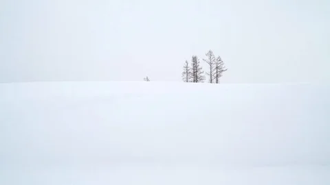 Trees under heavy snowfall in Biei, Hokkaido, Japan Stock Footage 102261130