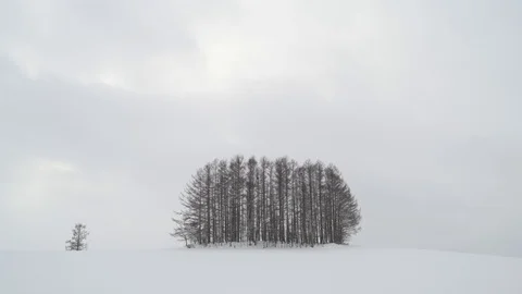 Trees under heavy snowfall in Biei, Hokkaido, Japan Stock Footage 102261535