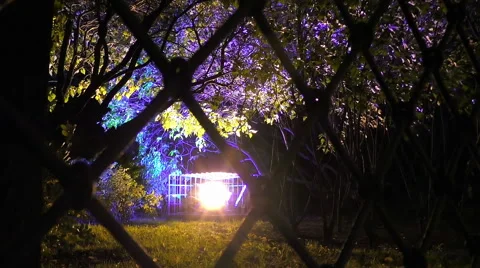 The trees under night light trough the bars Stock Footage 68175387