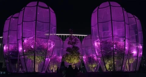 Trees under protective domes for wintering at night Stock Footage 164072050