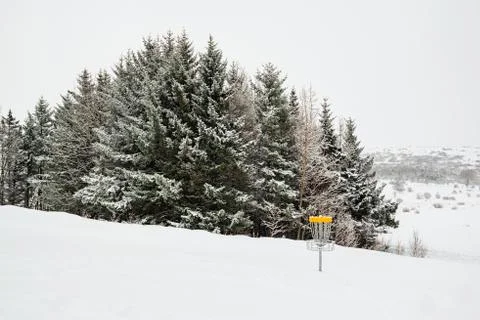 Trees under the snow and disk golf, Iceland Stock Photos