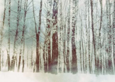 Trees under snowfall design 스톡 일러스트