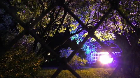 The trees under a stunning night light trough the bars Stock Footage 68175521
