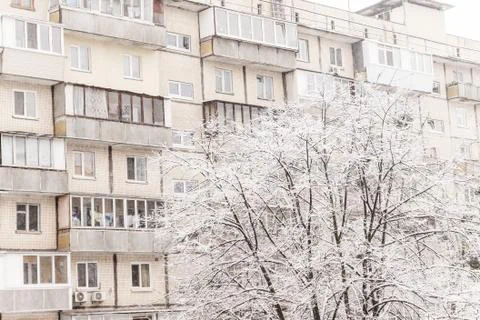 Trees under a thick layer of snow on the background of high-rise buildings in 写真素材