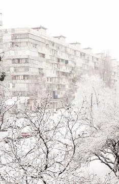 Trees under a thick layer of snow on the background of high-rise buildings in Stockfoto's